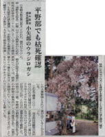 富山新聞で紹介されました。