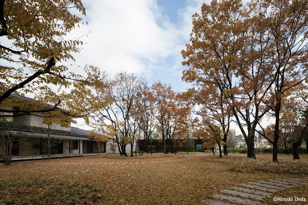 高志の国文学館