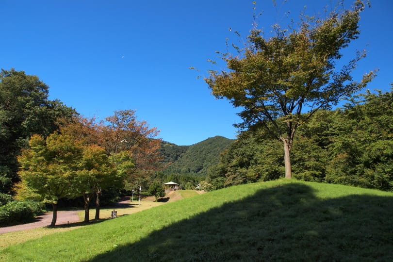 割山森林公園