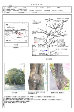 専門診断／外観診断