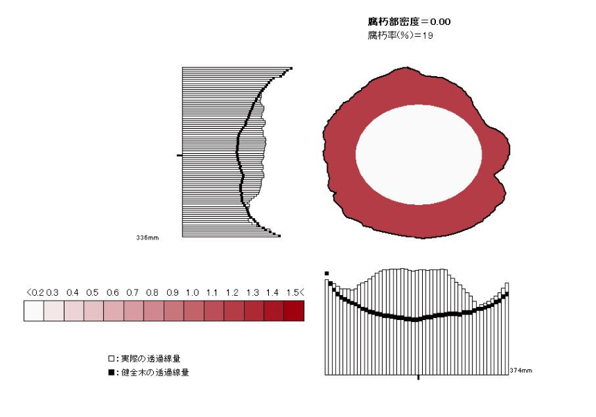 放射線ＣＴ測定