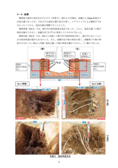 処方案